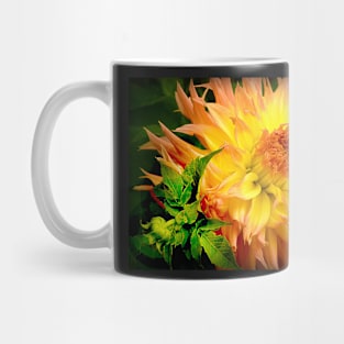 Am I Not Wonderful? Mug